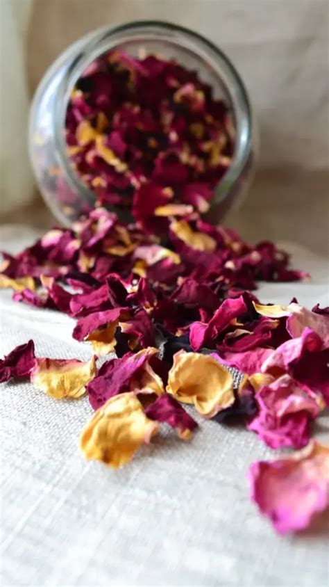 benefits of eating rose petals.